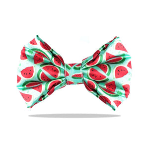 Watermelon Bow Tie-petsway