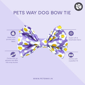 feature image of Watermelon Bow Tie-petsway