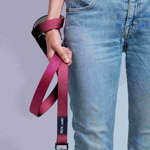 carry Wine Dog Leash-petsway