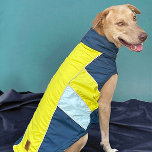 Back of Winterberry - Airforce Dog Jacket Petsway