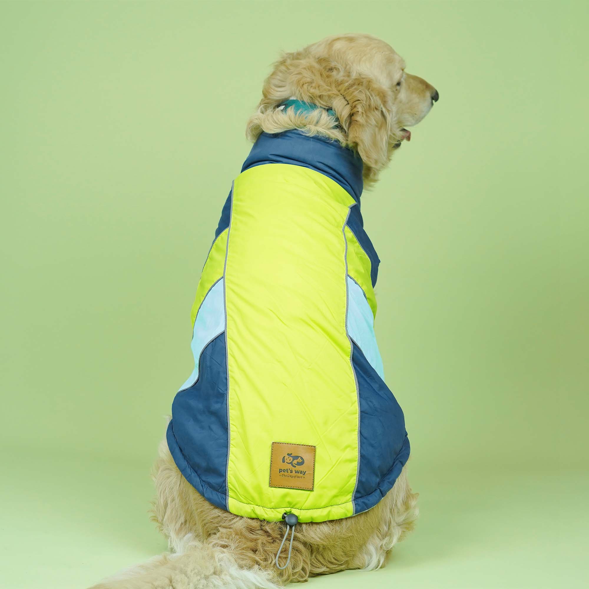 Winterberry - Airforce Dog Jacket