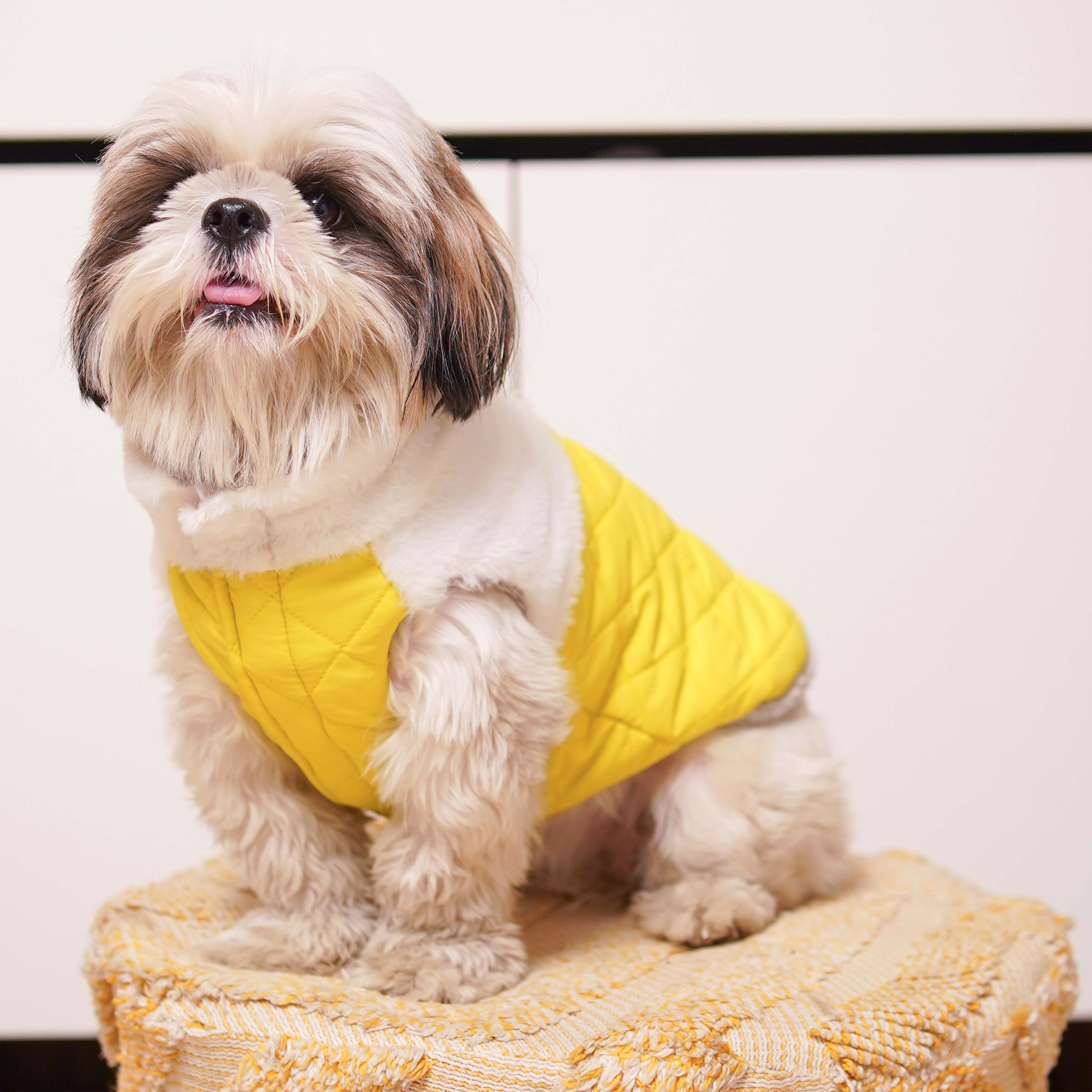 CozyQuilt - Yellow Reversible Dog Jacket