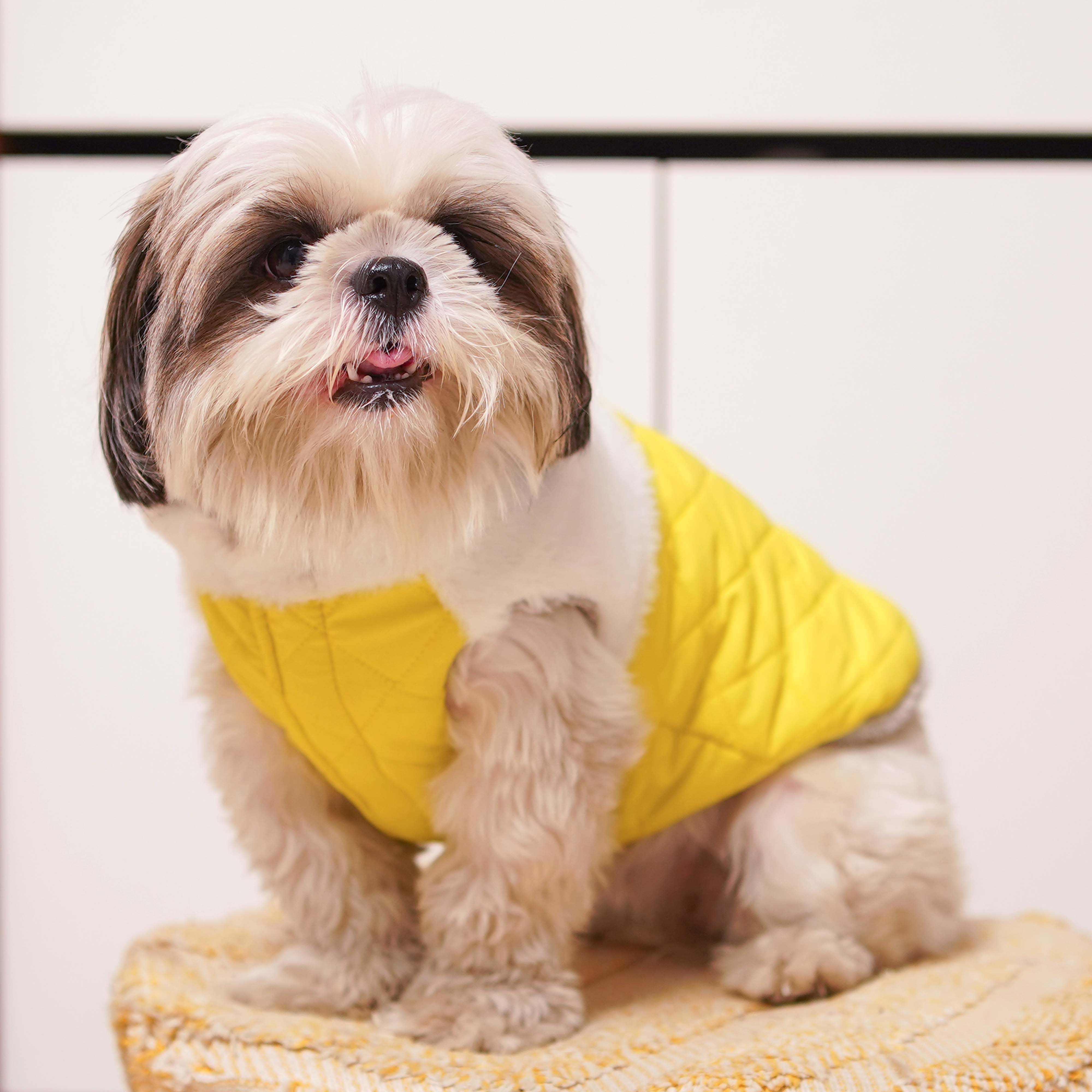 CozyQuilt - Yellow Reversible Dog Jacket