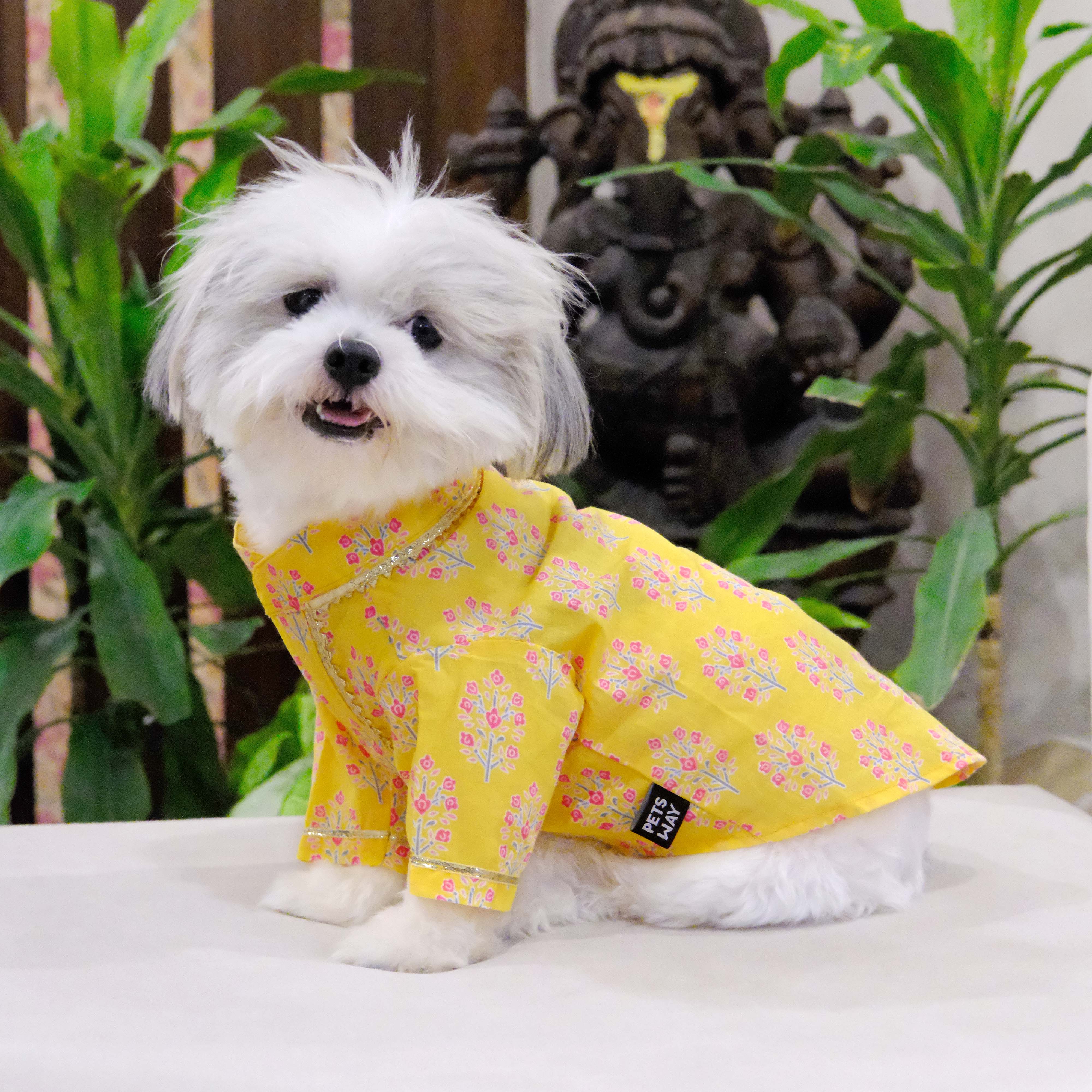 Bandhani Sanganeri- BY Dog Kurta Combo