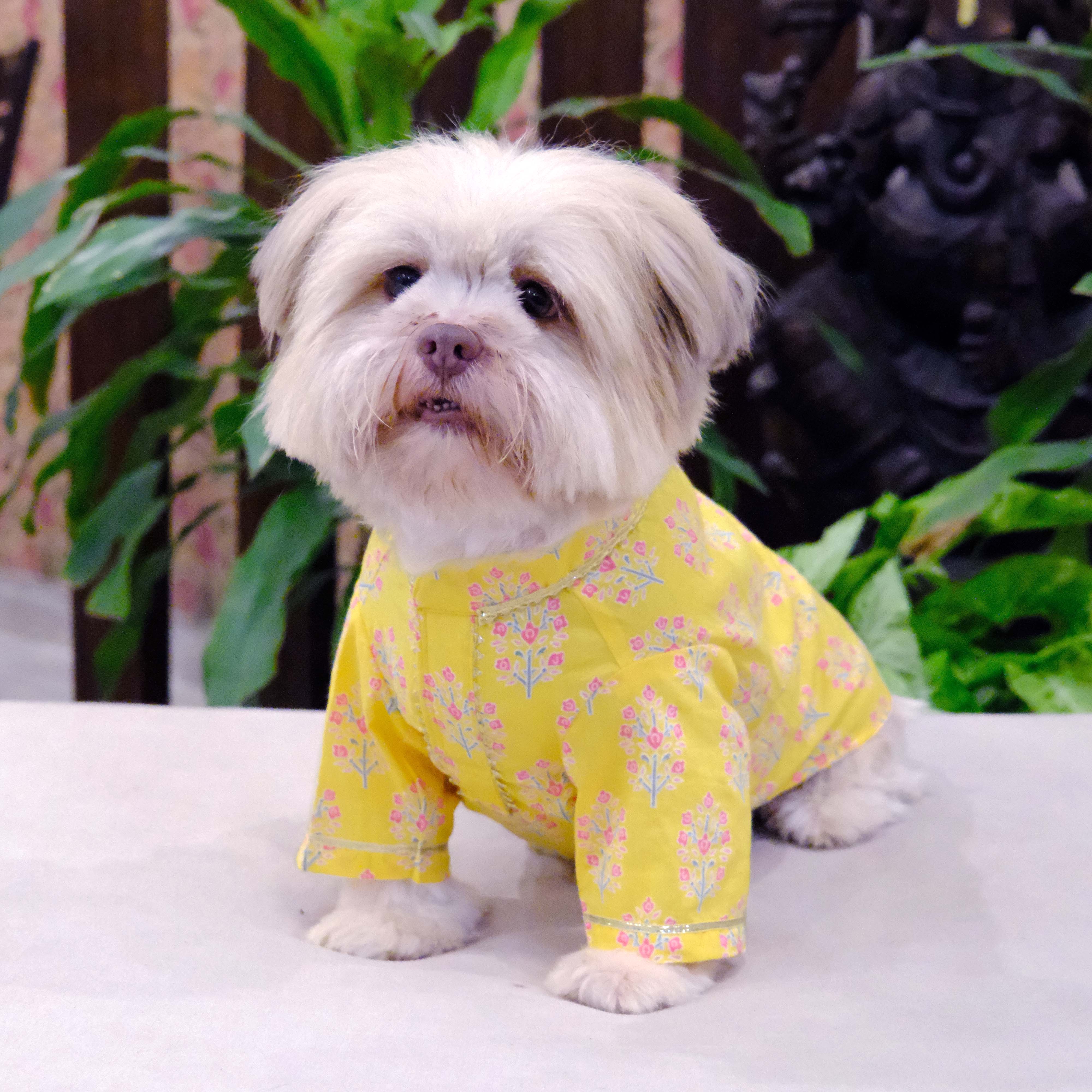 Bandhani Sanganeri- BY Dog Kurta Combo