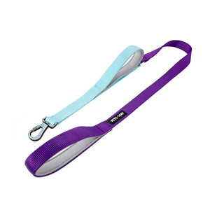 Amethyst & Sky - Traffic / Dual Handle  Leash