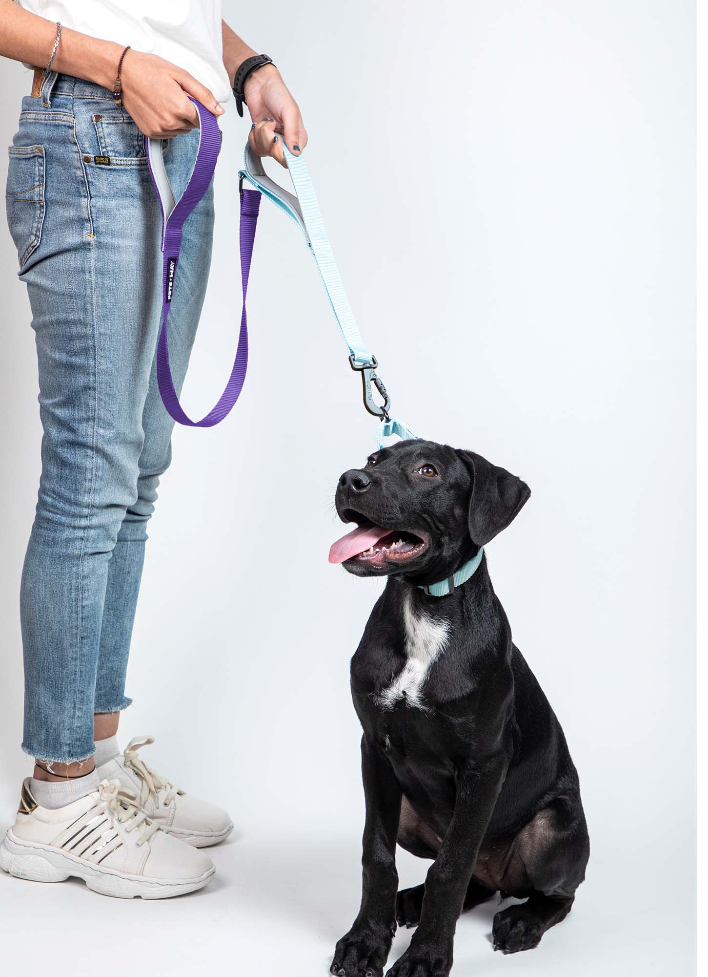Amethyst & Sky - Traffic / Dual Handle  Leash