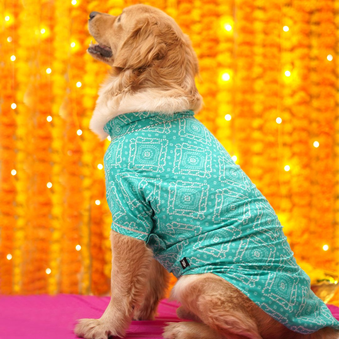 Bandhani - Teal Dog kurta
