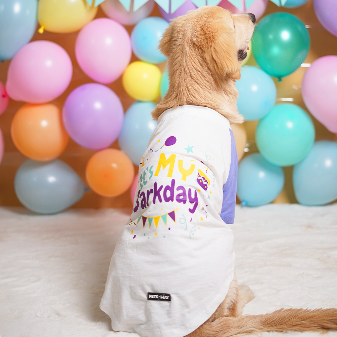 Birthday Dog T-Shirt - Lavender