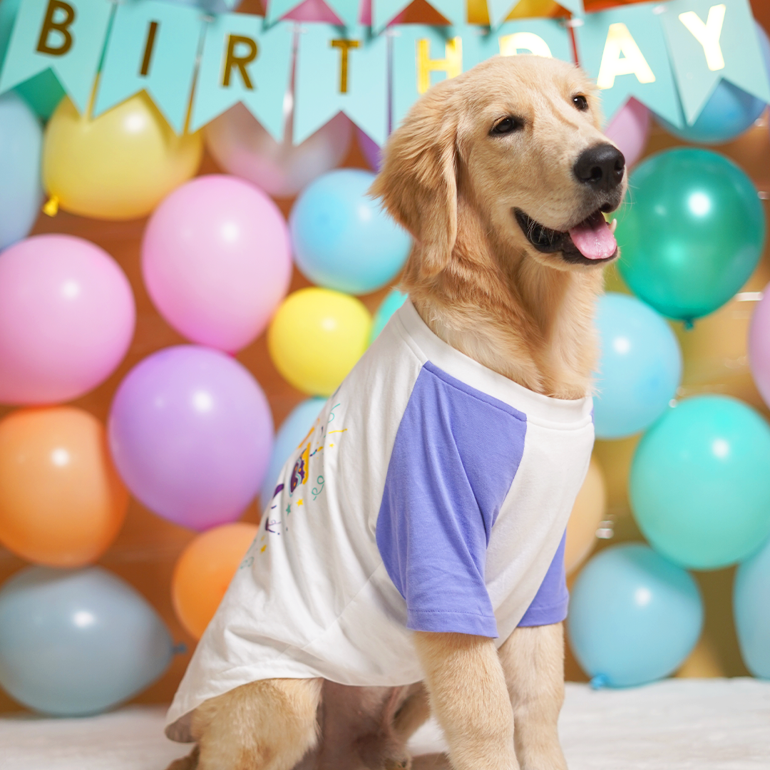 Birthday Dog T-Shirt - Lavender