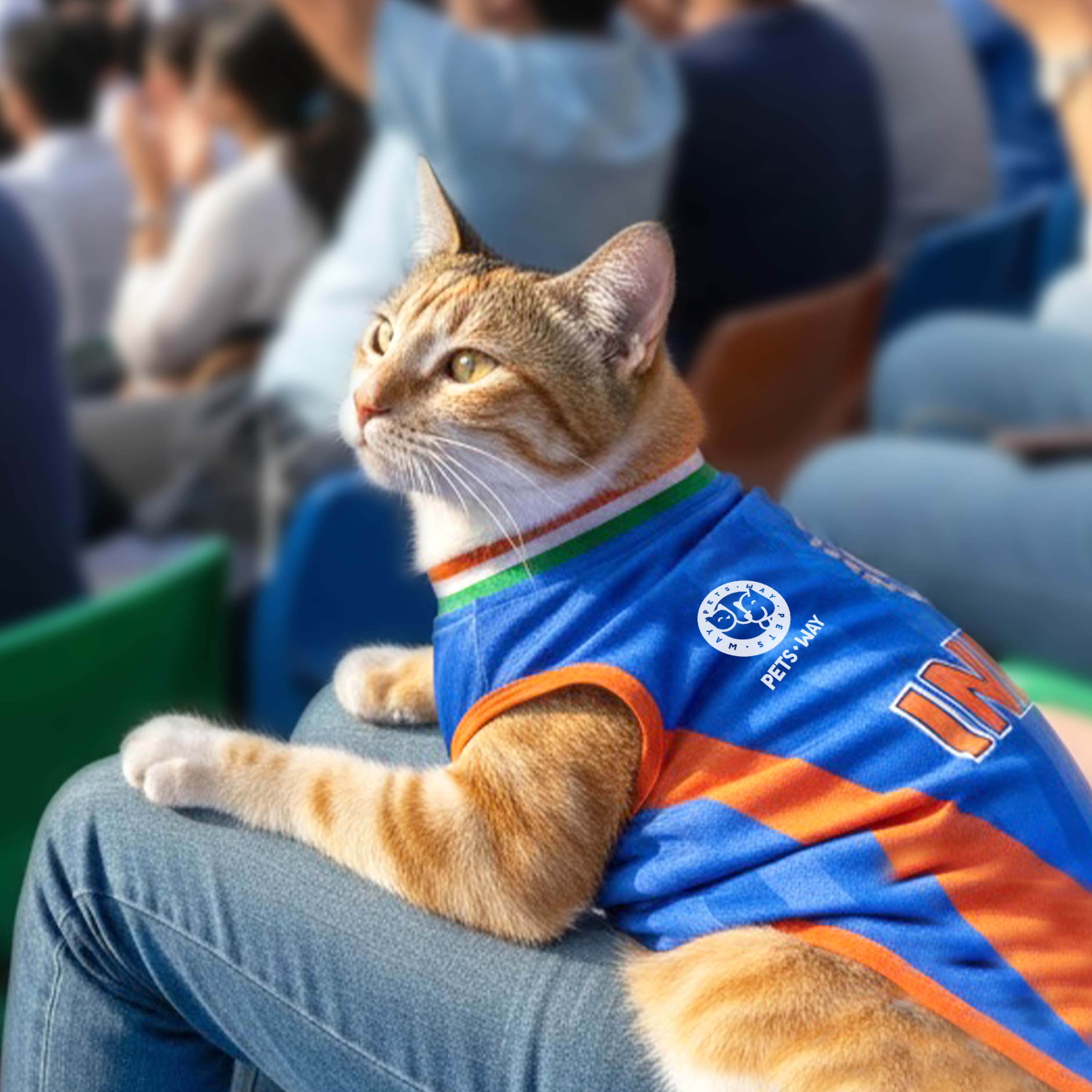 T20 Cat Jersey