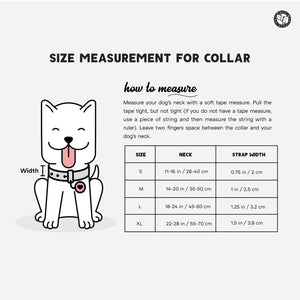 Sky Dog Collar Leash Set