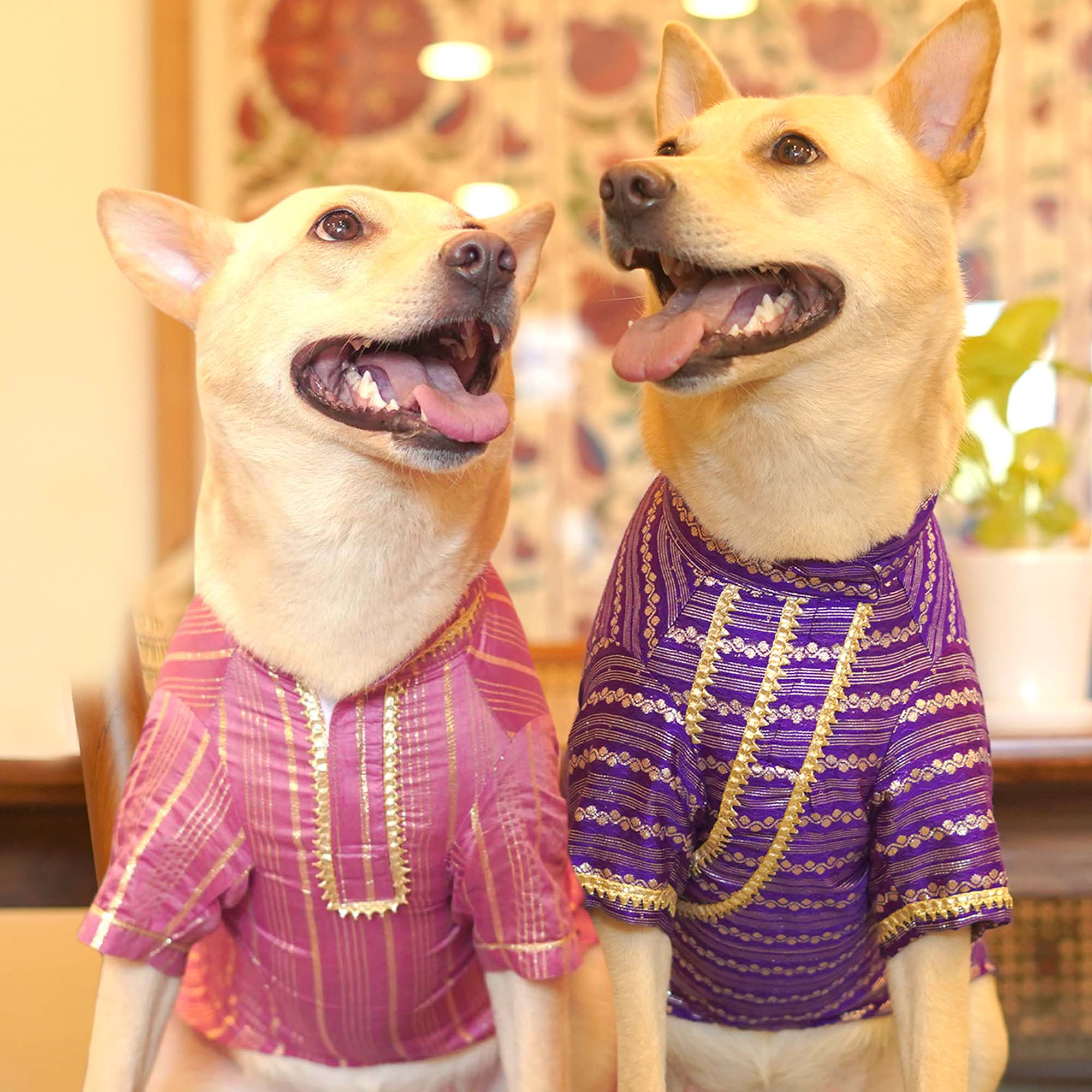 Gulabi Lehar Dog kurta Combo