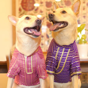 Gulabi Lehar Dog kurta Combo