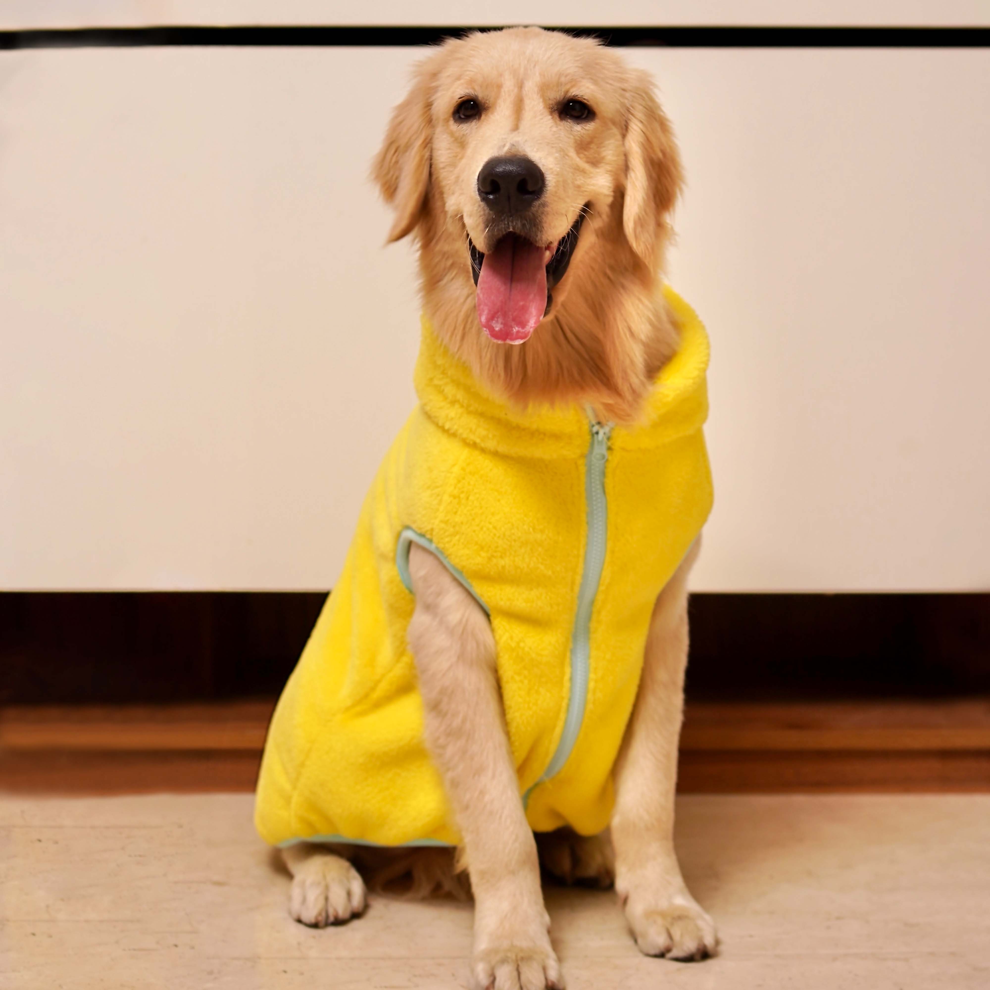 Crazy Fur - Yellow Dog Jacket