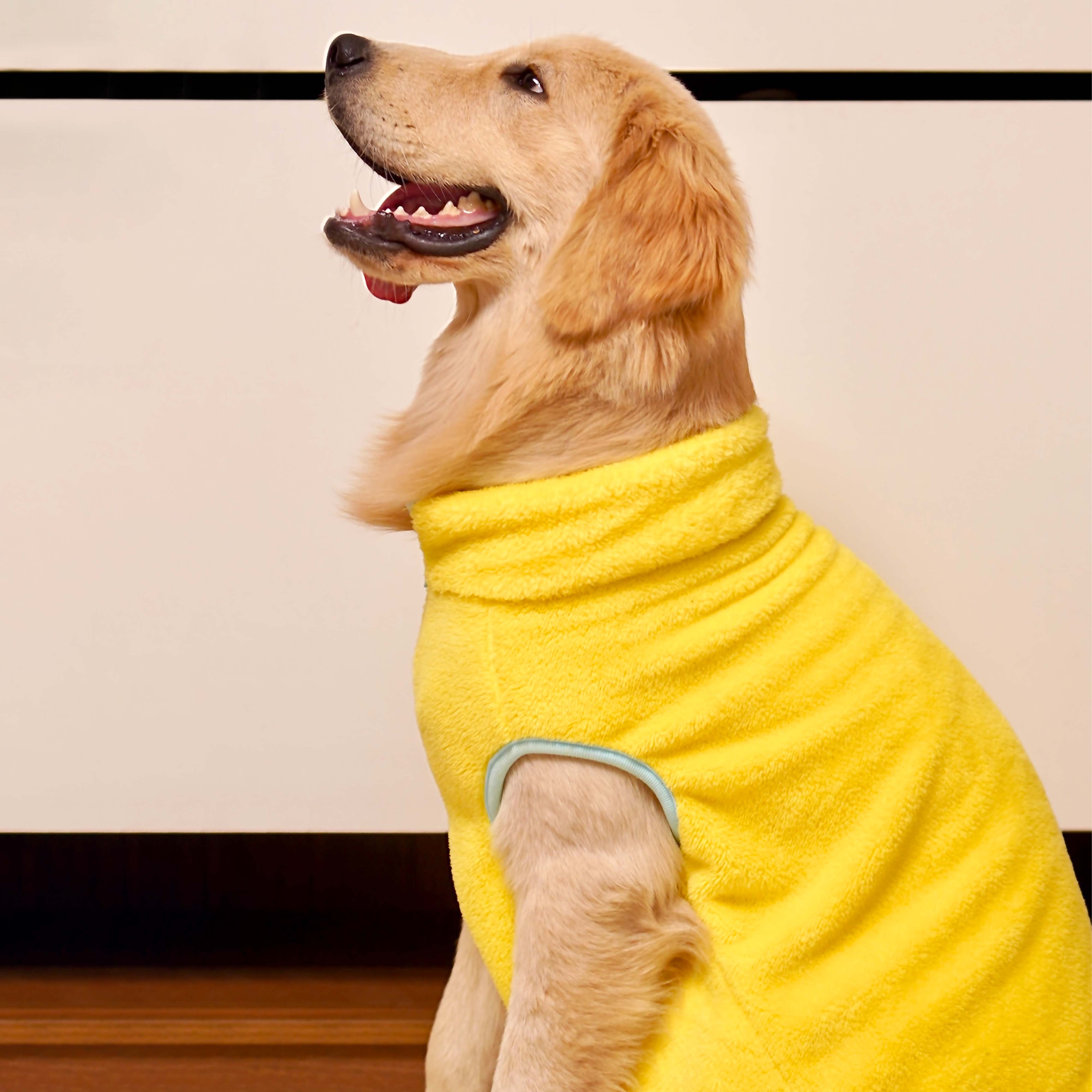 Crazy Fur - Yellow Dog Jacket