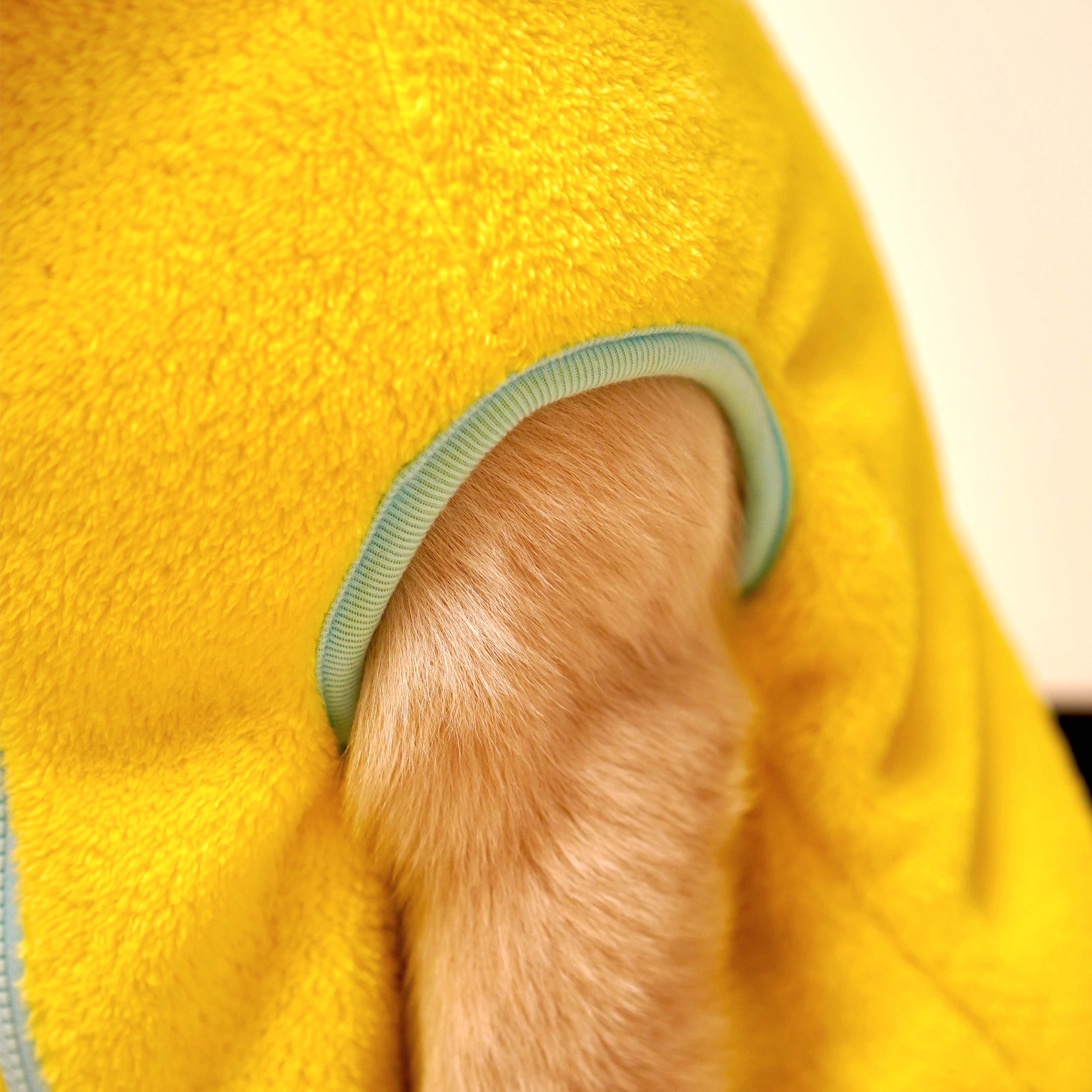 Crazy Fur - Yellow Dog Jacket