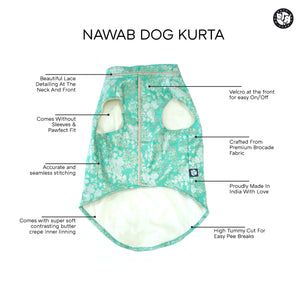 Riwaaz - Fuschia Dog Sherwani