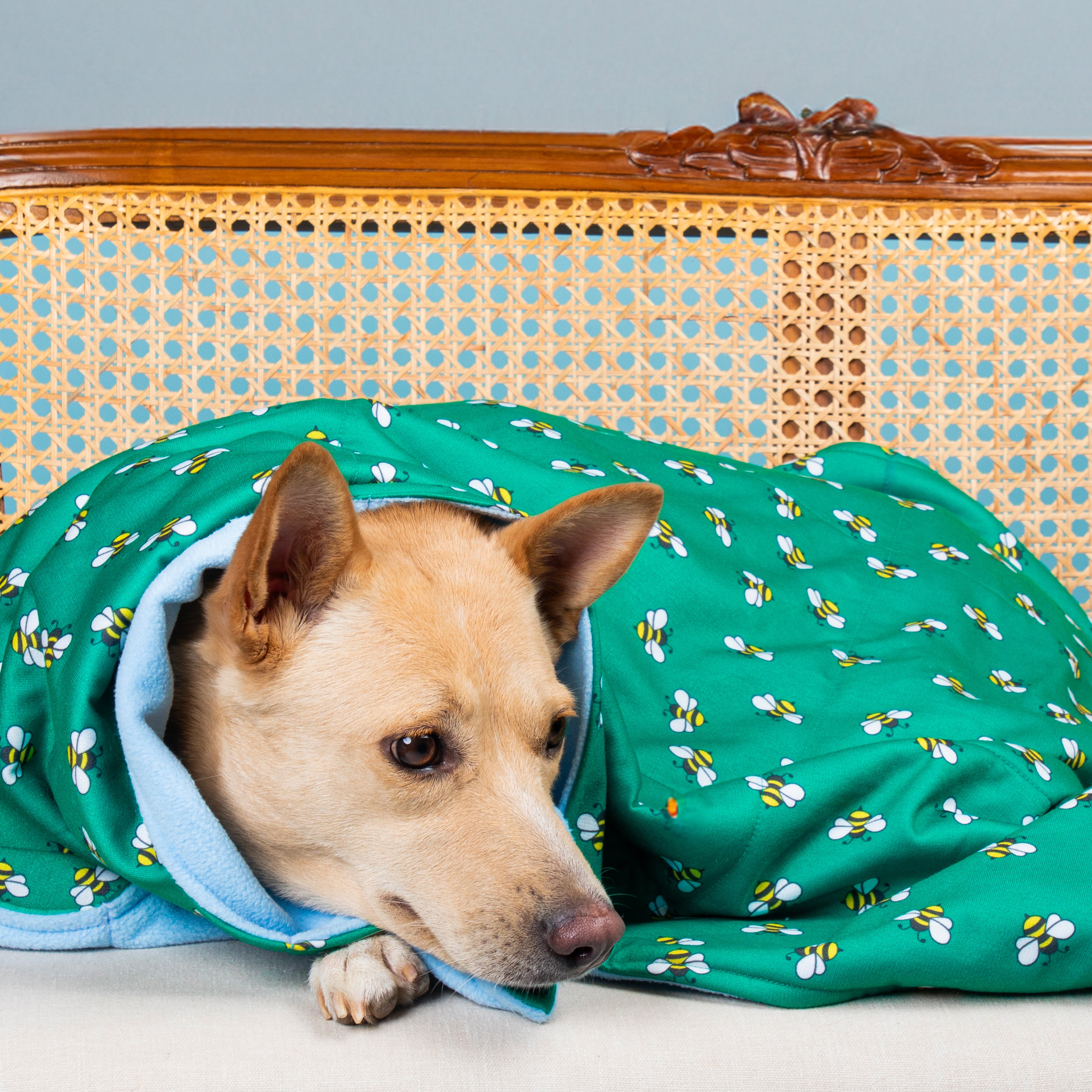 Honey Bee Blanket