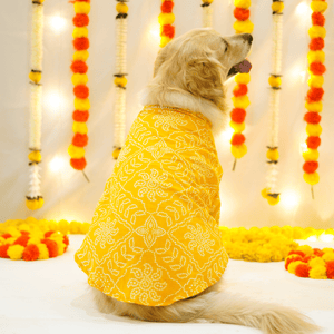 Bandhani - Amber Dog kurta