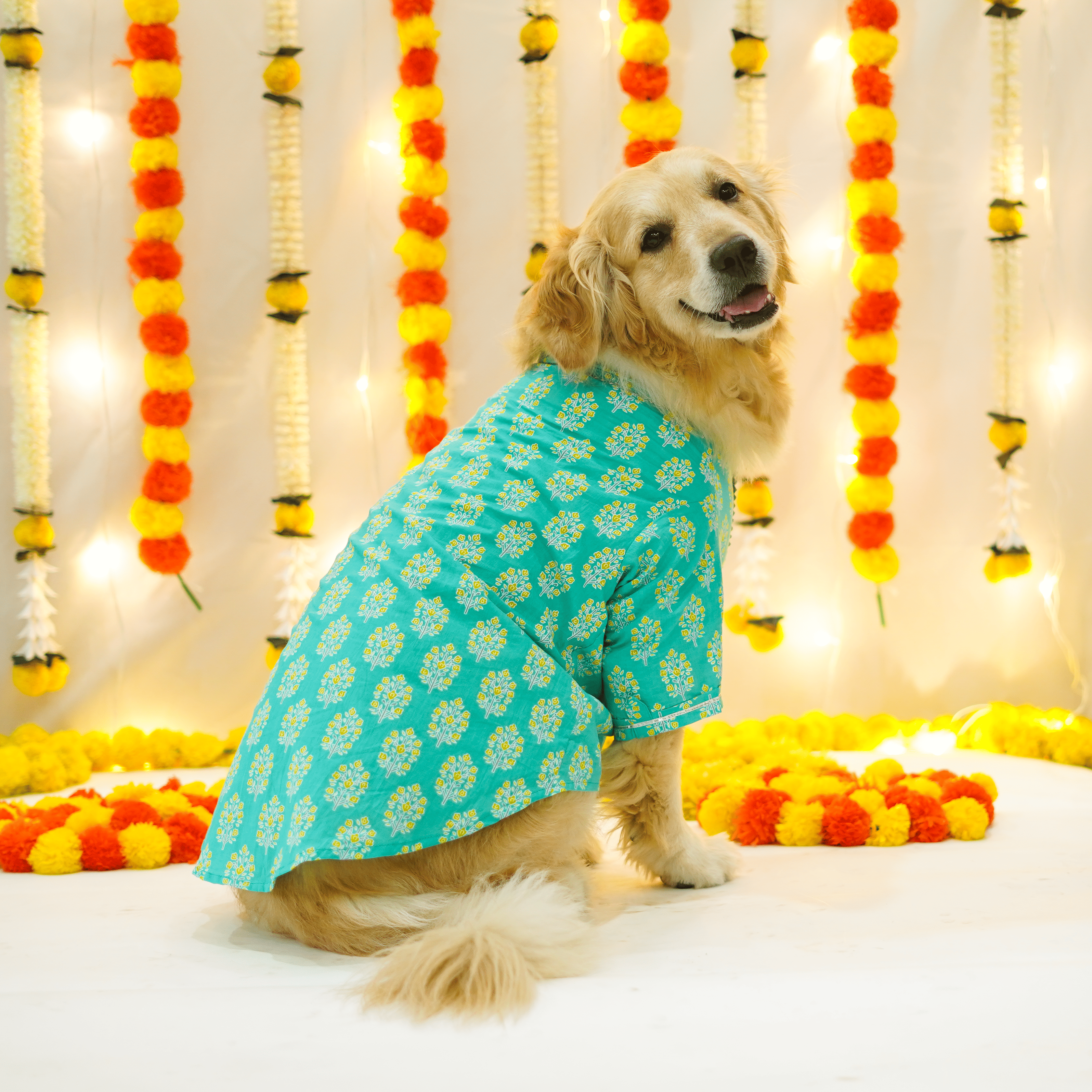 Sanganeri- Teal Dog kurta