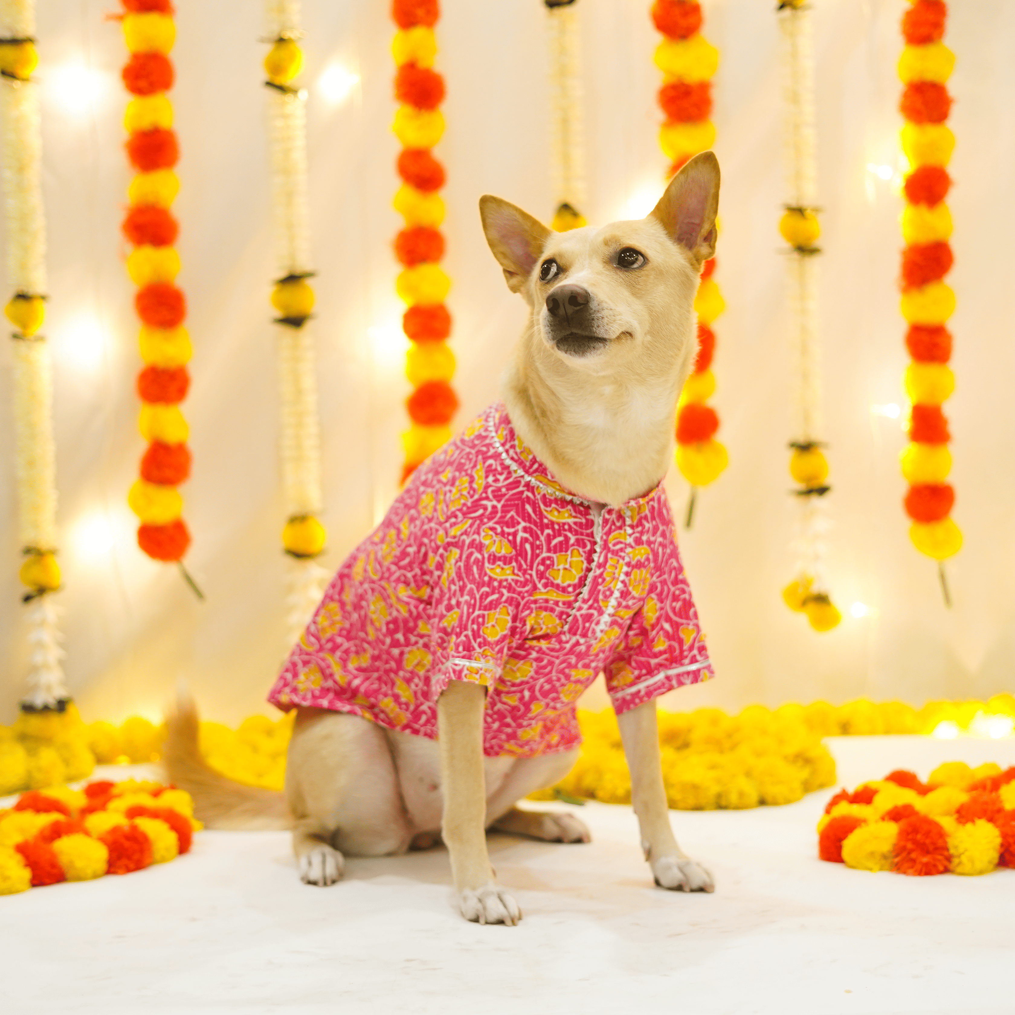 Floral Kantha - Fuchsia Dog kurta