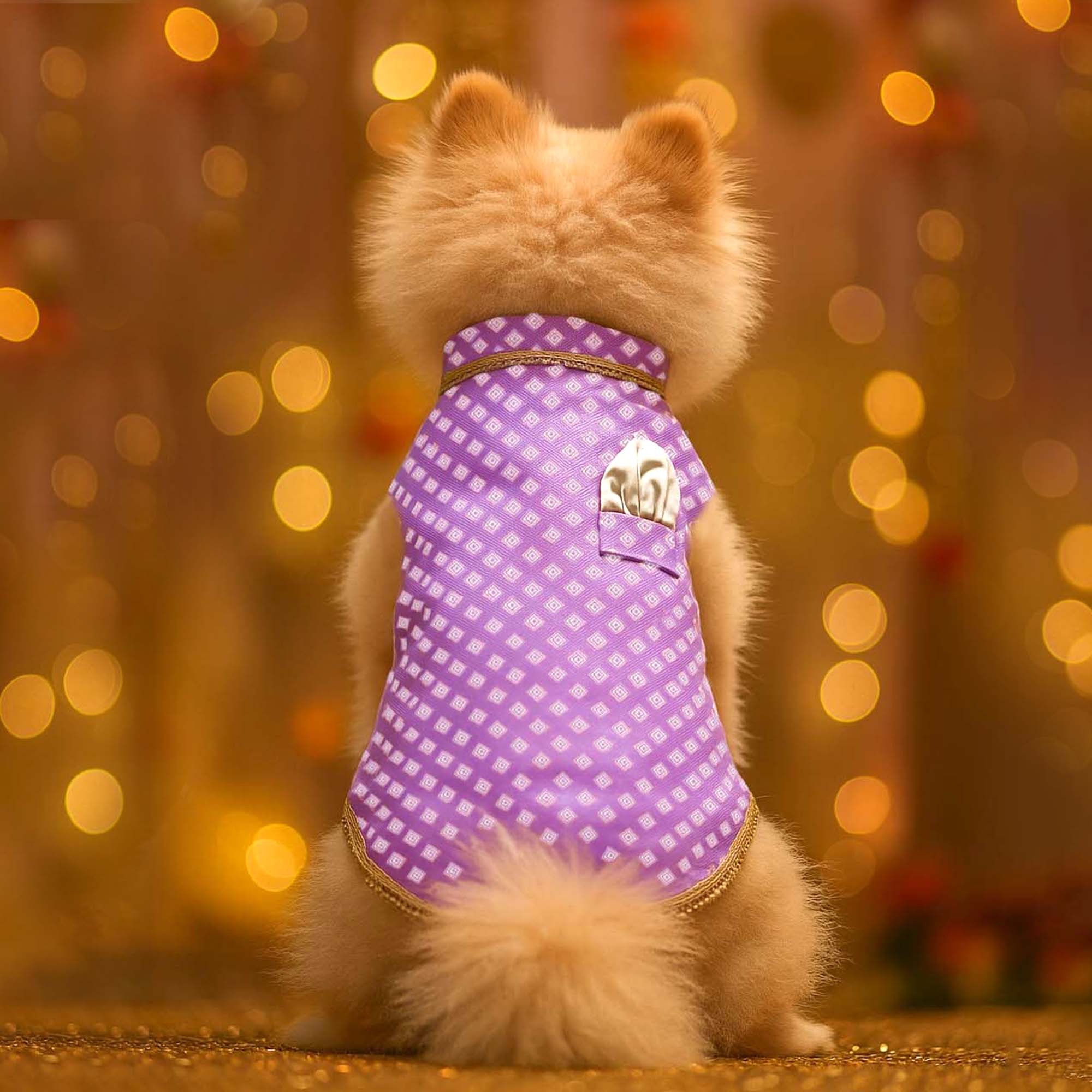 Nawab - Lavender Dog kurta