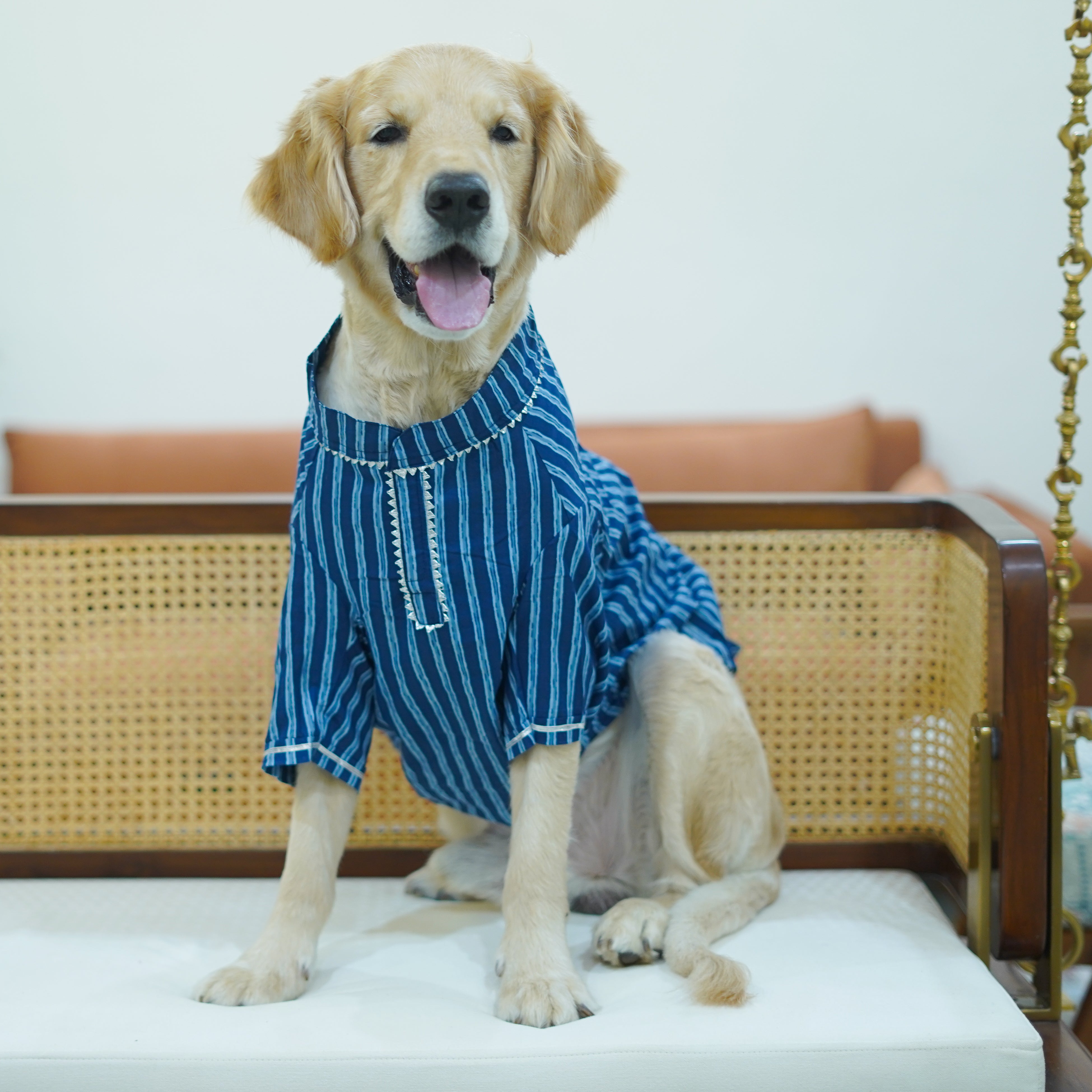 Striped – Blue Dog Kurta
