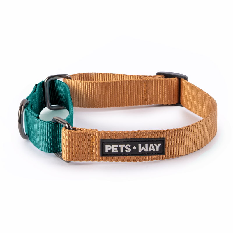 Honey and Emerald - Martingale Collar Dog Collar