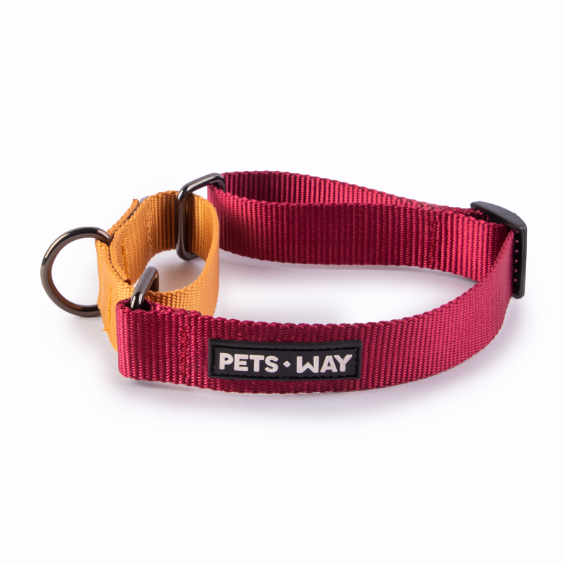 Wine & Honey - Martingale Dog Collar