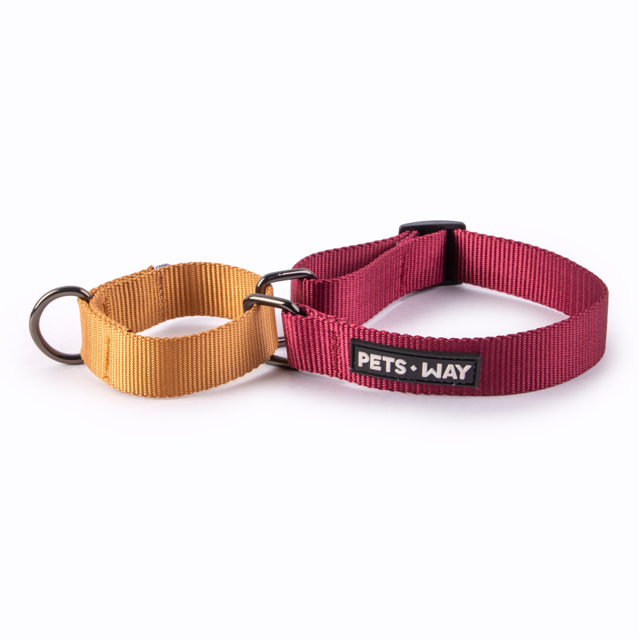 Wine & Honey - Martingale Dog Collar