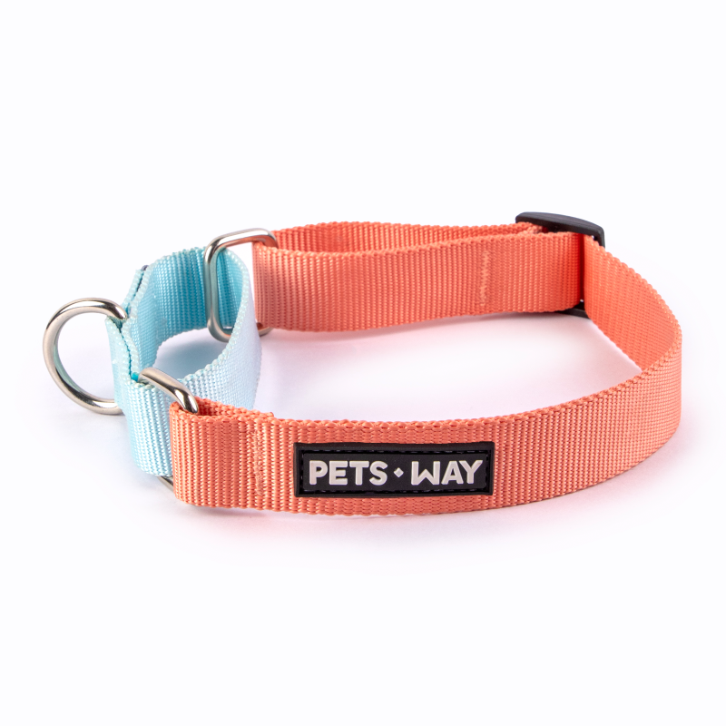 Peach & Sky - Martingale Dog Collar