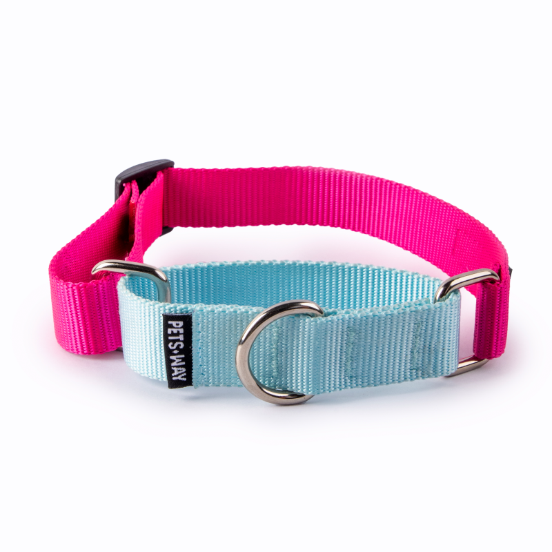 Fuschia & Sky - Martingale Dog Collar