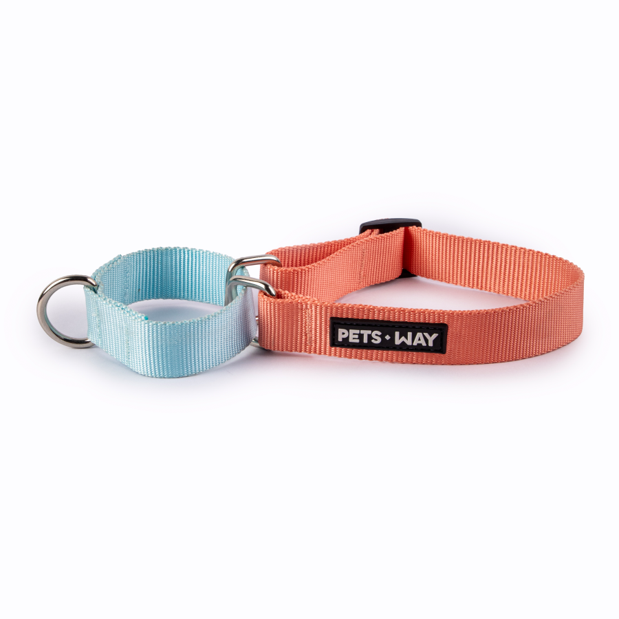 Peach & Sky - Martingale Dog Collar