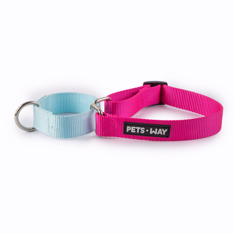 Fuschia & Sky - Martingale Dog Collar