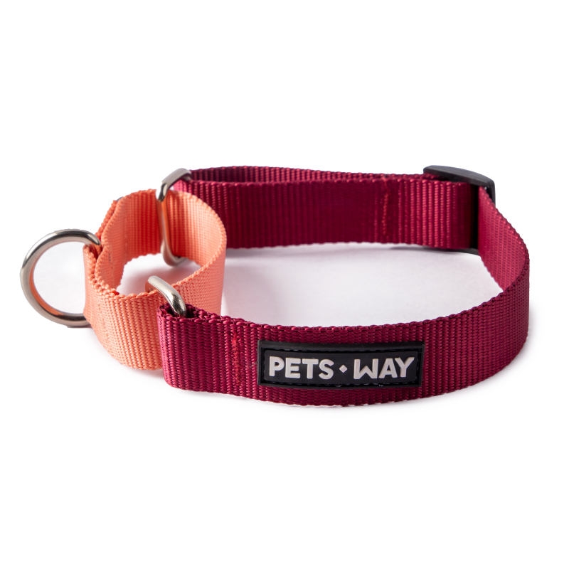 Wine & Peach - Martingale Dog Collar