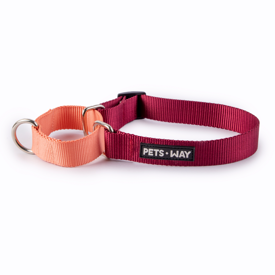 Wine & Peach - Martingale Dog Collar