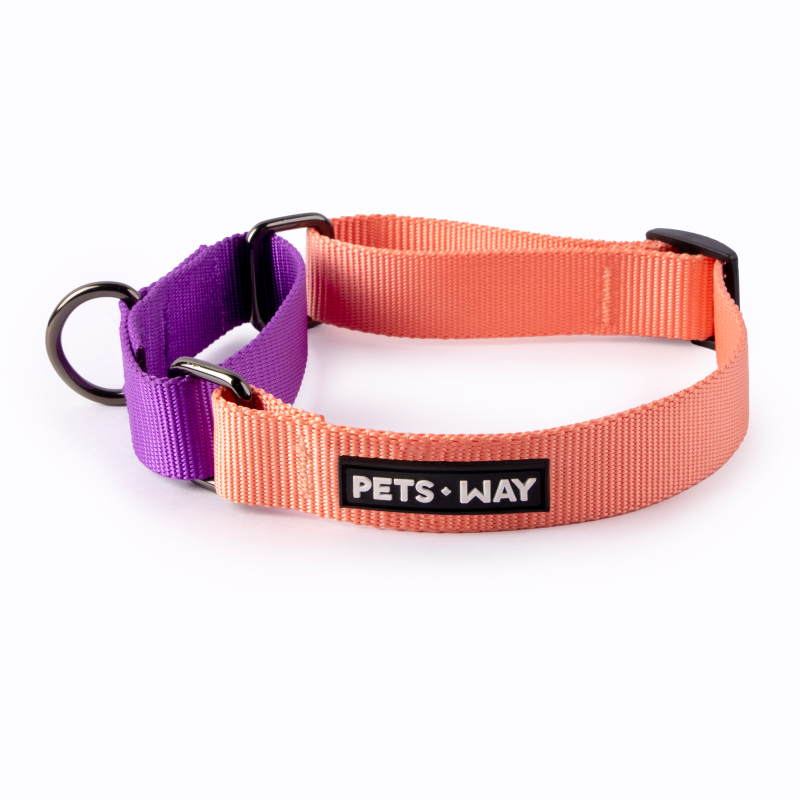 Peach & Amethyst - Martingale Dog Collar