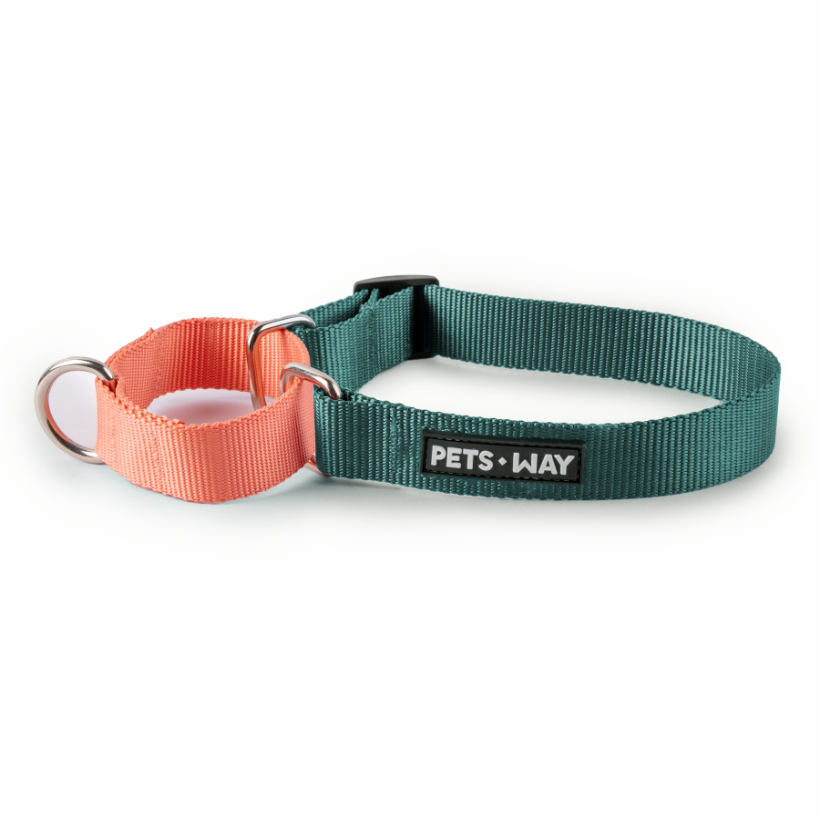 Emerald & Peach - Martingale Dog Collar