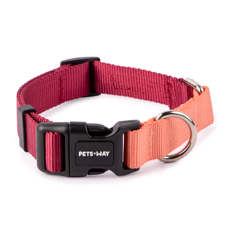 Wine & Peach - Dual Color Dog Collar