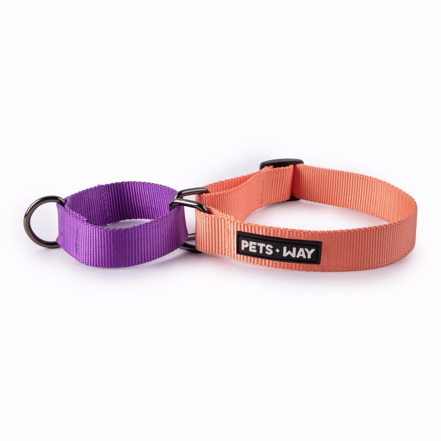 Peach & Amethyst - Martingale Dog Collar