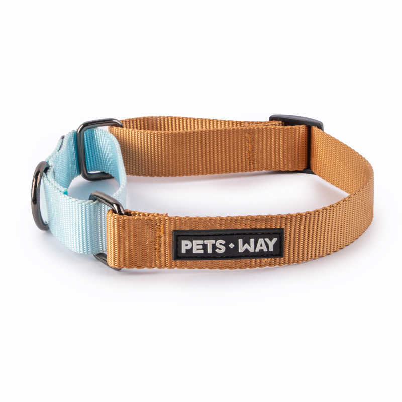 Honey & Sky - Martingale Dog Collar