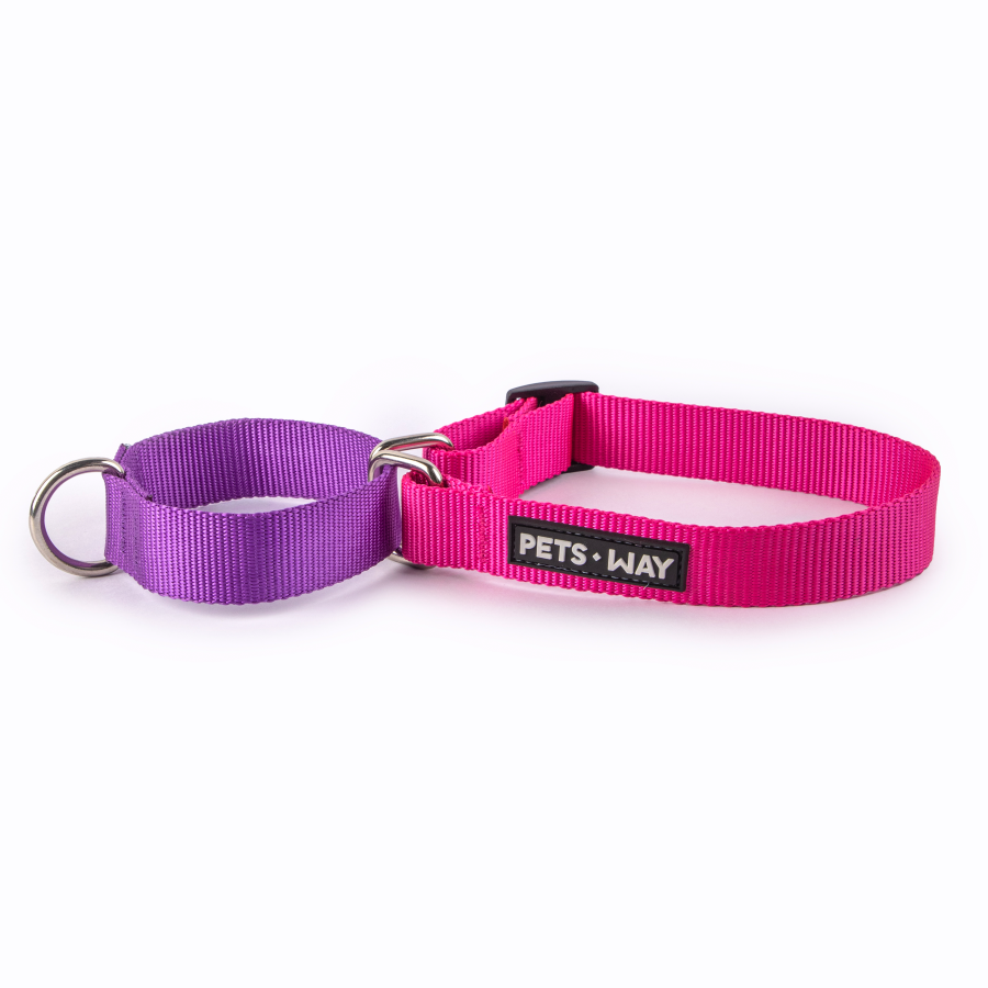 Fuschia & Amethyst - Martingale Dog Collar