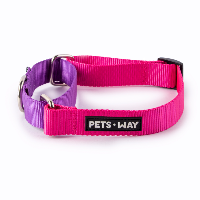 Fuschia & Amethyst - Martingale Dog Collar