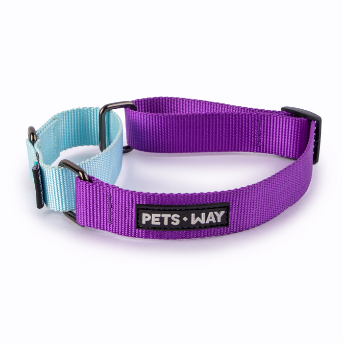 Amethyst & Sky - Martingale Dog Collar