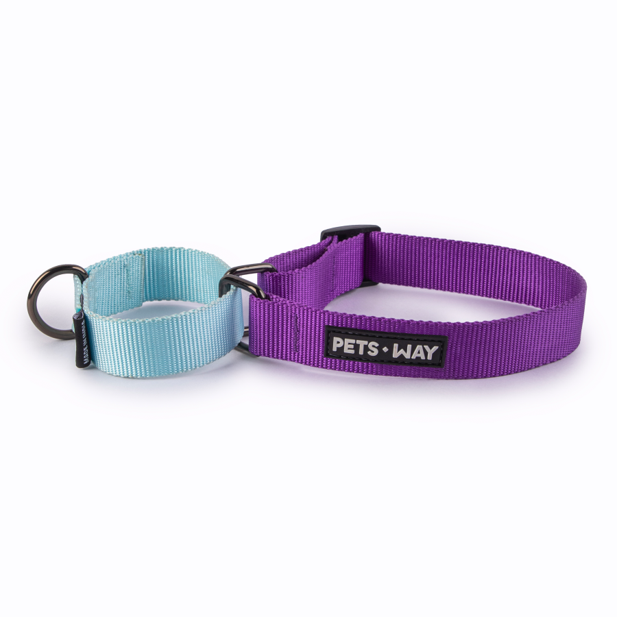 Amethyst & Sky - Martingale Dog Collar