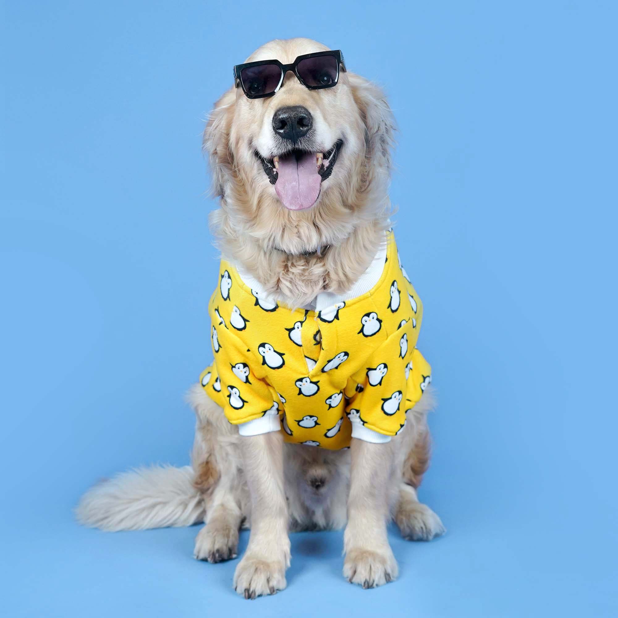 Pingu Dog Sweatshirt