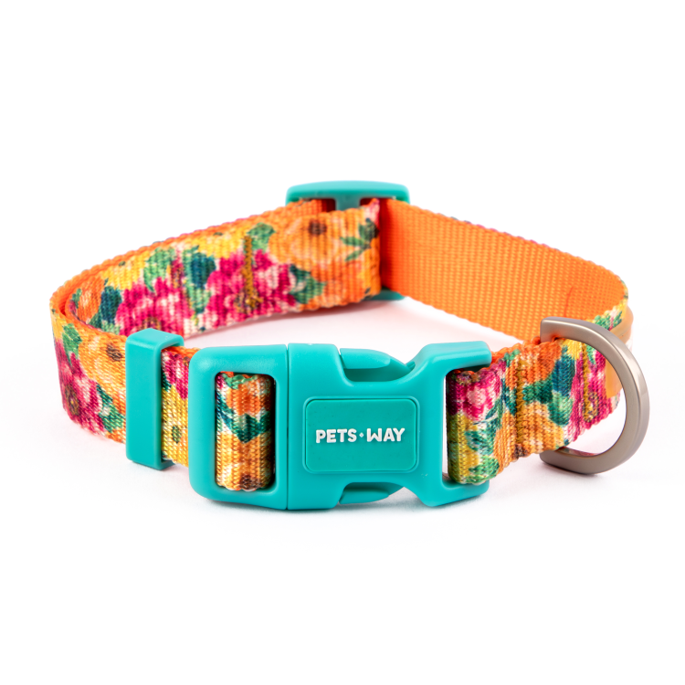 Spring Dog Collar