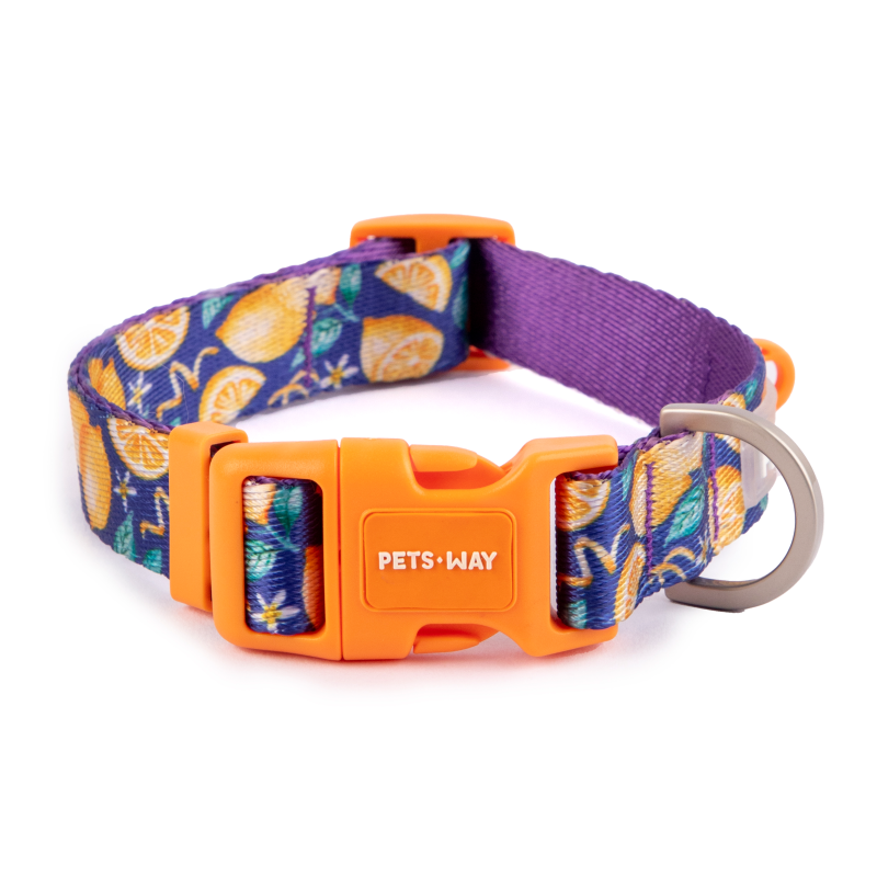 Autumn Dog Collar