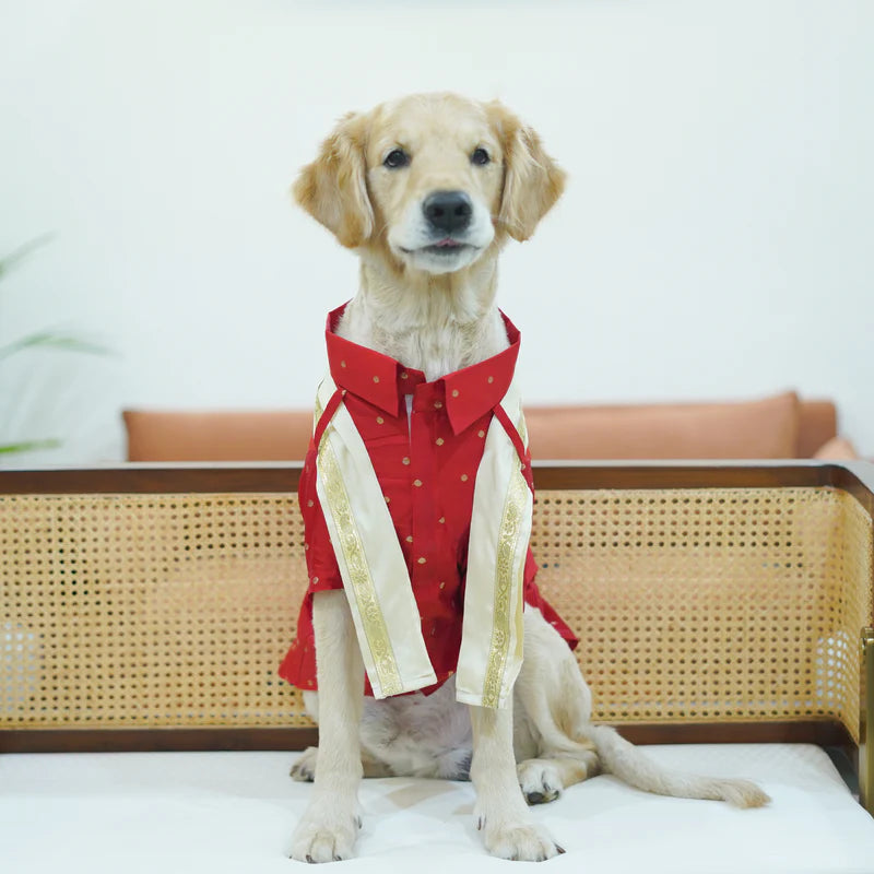 Sanganeri Mundu Kurta YR Combo